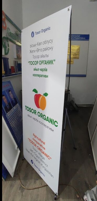 | Паучки, | Разработка дизайна, Послепечатная обработка Бишкек - сүрөт 4