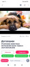 Мы предлагаем профессиональные услуги по усыплению животных Бишкек