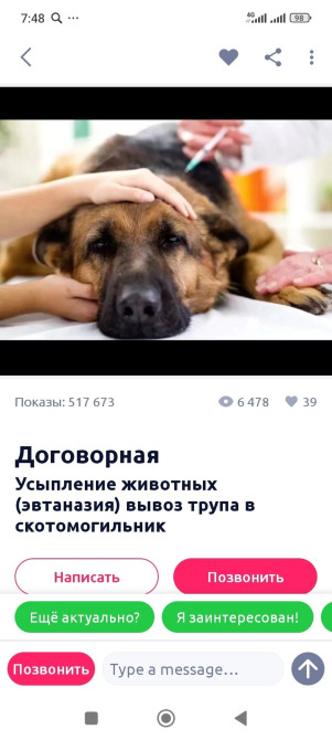 Мы предлагаем профессиональные услуги по усыплению животных Бишкек - сүрөт 1