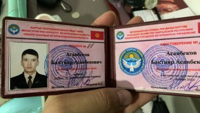 Ветеринарный врач Усыпление Кастрация Стерилизация кошек собак Бишкек - изображение 2
