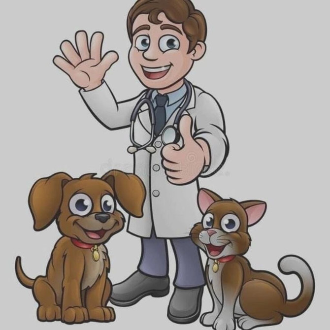 Ветеринар на выезд - оказание профессиональных и качественных Бишкек - сүрөт 1