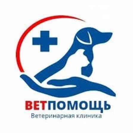 Ветеринар на выезд 24/7 Лечение Кастрация УЗИ КРС и Лошадей Бишкек