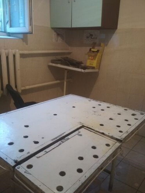 Дипломированный и Высококвалифицированный ветеринар. Ветеринарный врач Бишкек - сүрөт 3