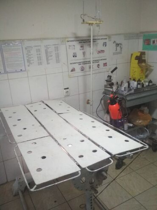 Дипломированный и Высококвалифицированный ветеринар. Ветеринарный врач Бишкек - сүрөт 2