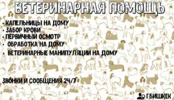 ????ВЕТЕРИНАРНАЯ ПОМОЩЬ НА ДОМ???? Ветеринар на дом, предоставляю следующий Бишкек