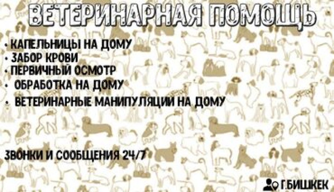 ????ВЕТЕРИНАРНАЯ ПОМОЩЬ НА ДОМ???? Ветеринар на дом, предоставляю следующий Бишкек - изображение 2