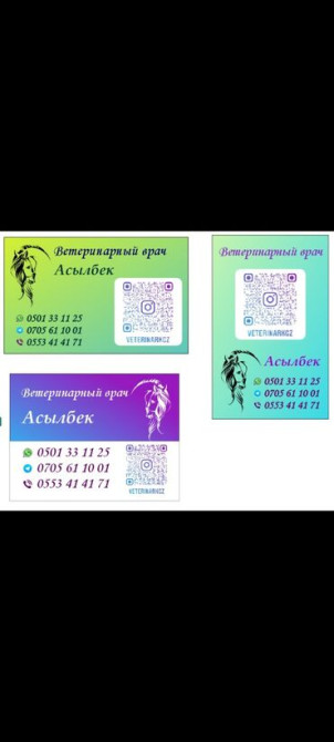 Ветеринарный врач на выезд Онлайн консультация Бишкек - сүрөт 3