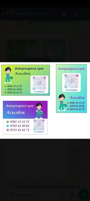 Ветеринарный врач на выезд Онлайн консультация Бишкек - сүрөт 1