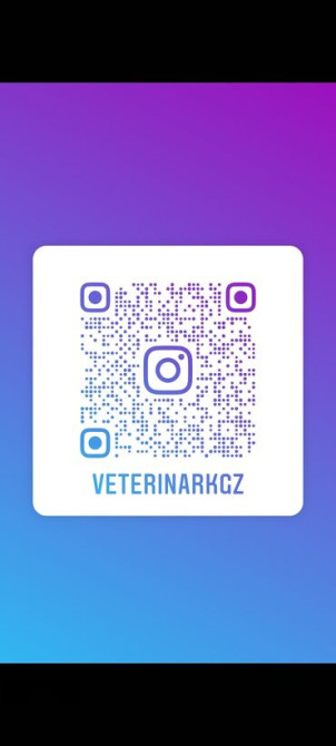 Ветеринарный врач на выезд Онлайн консультация Бишкек - сүрөт 2