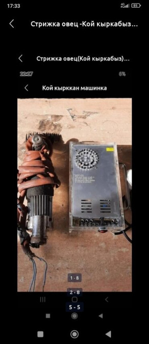 Стрижка овец_ Кой кыркабыз_с выездом_уйго барып кой кыркабыз_ по Бишкек - сүрөт 3