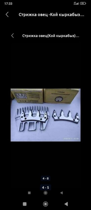 Стрижка овец_ Кой кыркабыз_с выездом_уйго барып кой кыркабыз_ по Бишкек - сүрөт 4