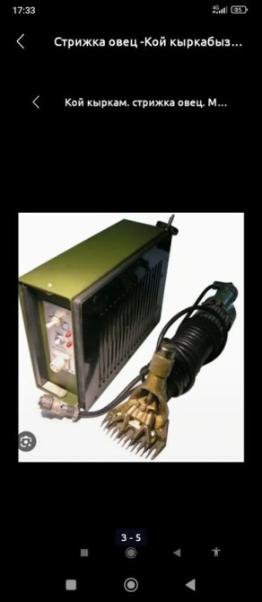 Стрижка овец_ Кой кыркабыз_с выездом_уйго барып кой кыркабыз_ по Бишкек - сүрөт 5