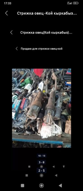 Стрижка овец_ Кой кыркабыз_с выездом_уйго барып кой кыркабыз_ по Бишкек - сүрөт 2