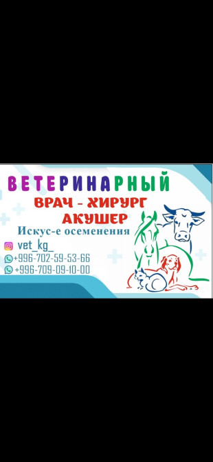 Ветеринарный врач????‍⚕️ (НЕ РАБОТАЮ С КОШКАМИ И СОБАКАМИ) Услуги: Выезд Бишкек - изображение 1