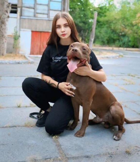 Индивидуальная дрессировка собак | Послушание | Коррекция поведения и Бишкек - изображение 6