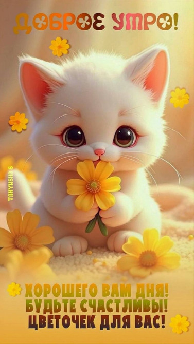 Услуги ветврача круглосуточно недорого работаю круглосуточно работаю Бишкек - изображение 1