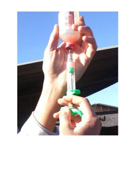 Ветеринар на выезд - оказание профессиональных и качественных Бишкек - изображение 1