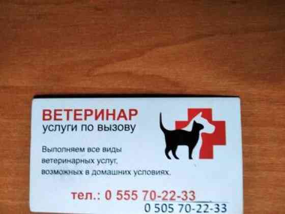 Ветеринар на выезд - оказание профессиональных и качественных Бишкек