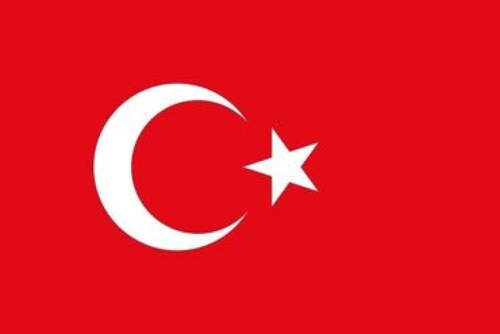 Услуги переводчика, Турецкий Бишкек - изображение 3