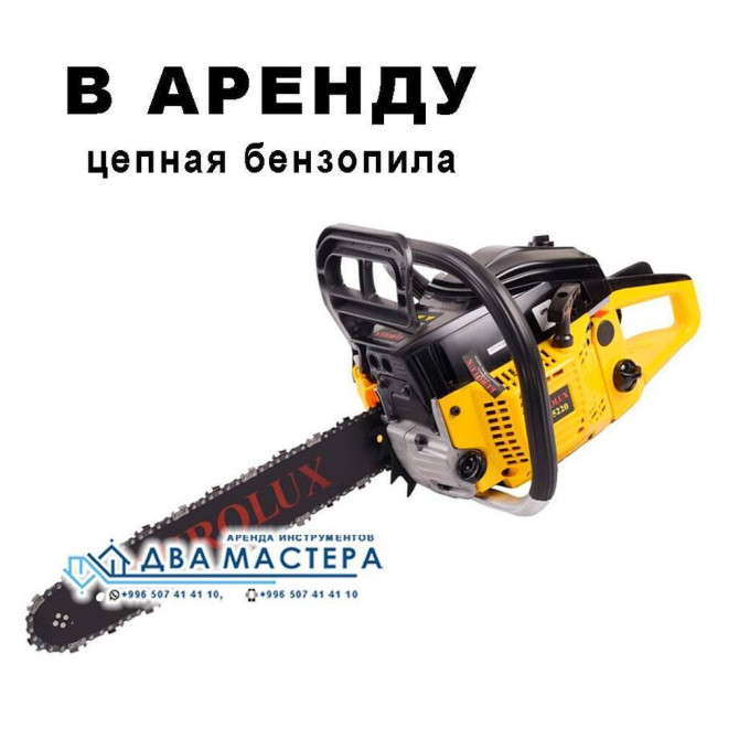 Сдам в аренду Пилы, пчелки Бишкек - сүрөт 1