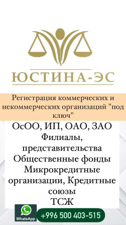 Юридические услуги | Административное право, Гражданское право, Земельное право | Консультация, Аутсорсинг Бишкек - изображение 1