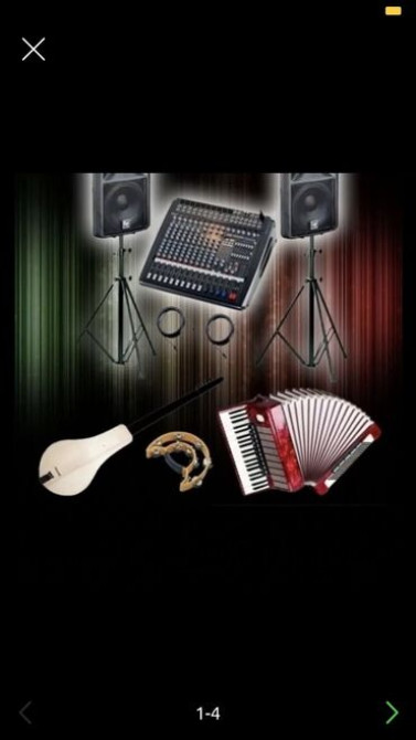 Организация мероприятий | Ведущий, тамада, Музыканты, Певцы Бишкек - сүрөт 3