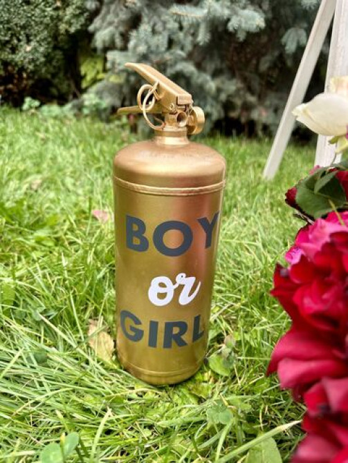 Организация мероприятий | Гелевые шары, Букеты, флористика, Ведущий, тамада Бишкек - сүрөт 2