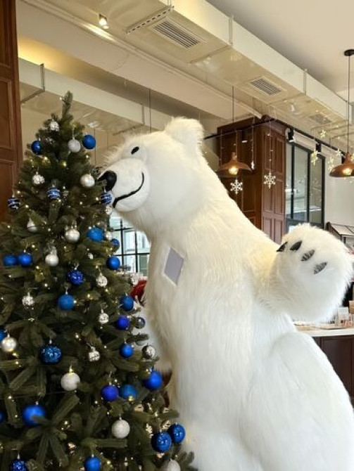 Организация мероприятий | Аниматоры, Гелевые шары, Букеты, флористика Бишкек - сүрөт 2