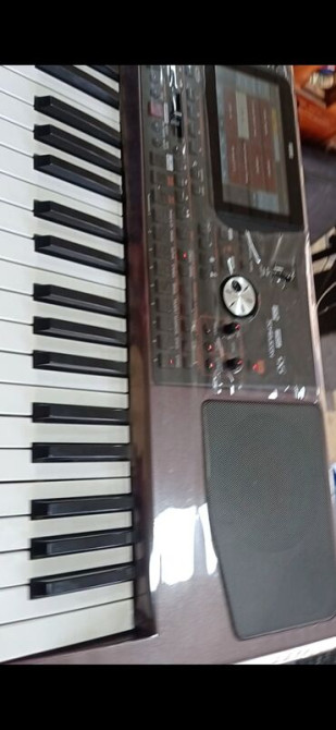 Организация мероприятий | Музыканты Bishkek - photo 3