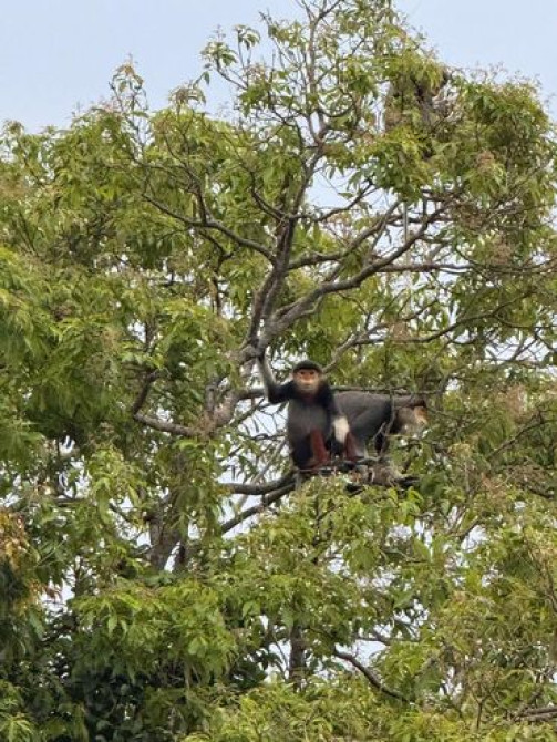 Организация мероприятий | Музыканты Бишкек - изображение 5