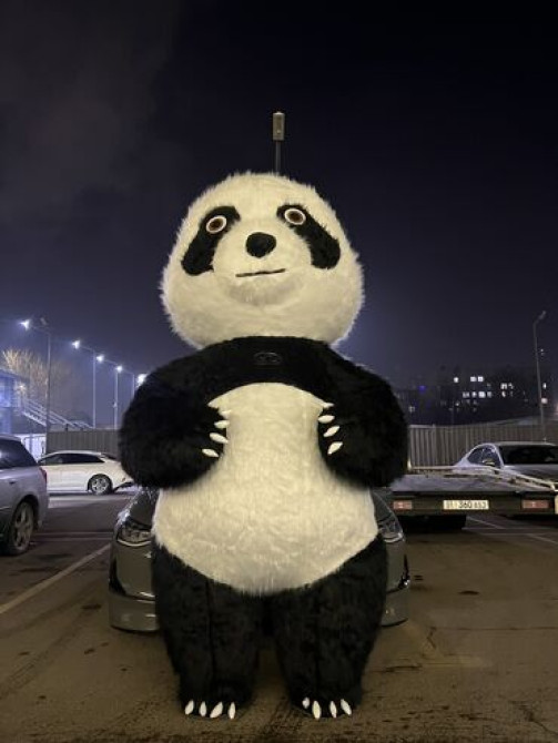 Организация мероприятий | Гелевые шары, Букеты, флористика, Аниматоры Бишкек - изображение 3