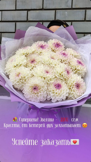 Организация мероприятий | Букеты, флористика Бишкек - изображение 1