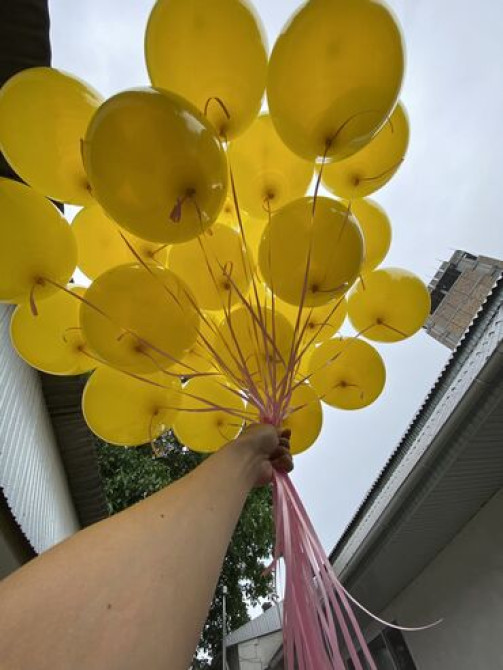 Организация мероприятий | Аниматоры, Букеты, флористика, Ведущий, тамада Бишкек - изображение 2