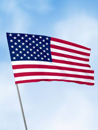 ???????? Визы в США — туристическая, студенческая, медицинская Помогу Бишкек - изображение 1