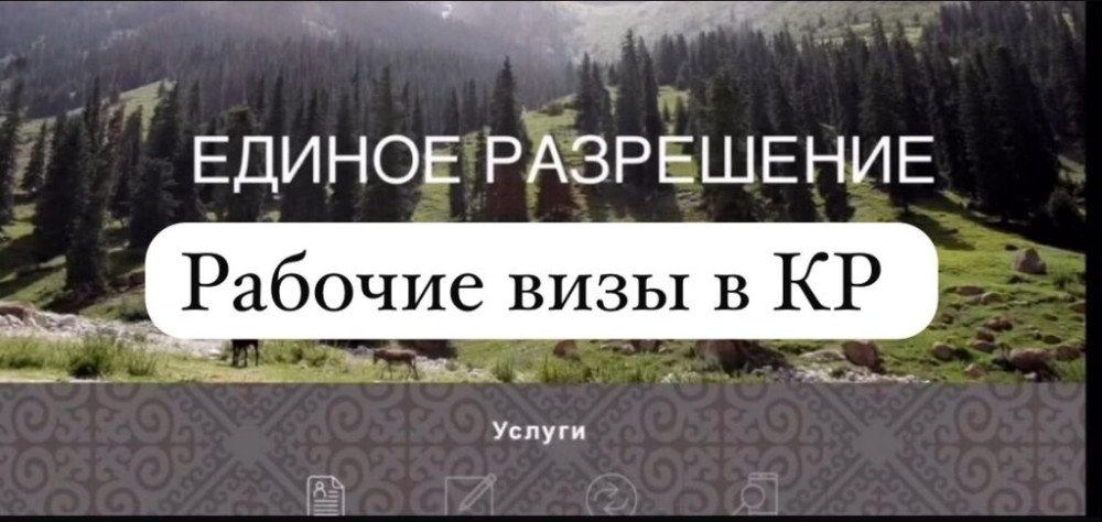 Визы рабочие в КР Оформление единого разрешения и рабочих виз для Бишкек - сүрөт 1