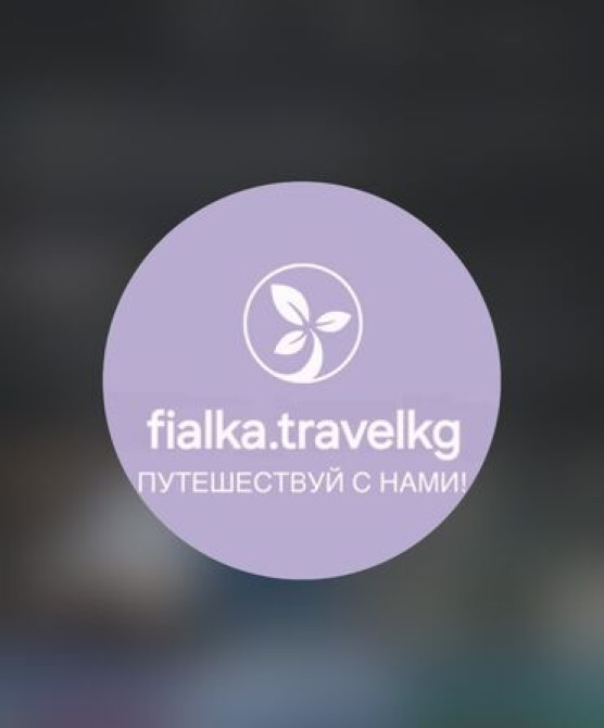 Туристическое агентство fialka.travelkg . Занимается продажей авиа Бишкек - сүрөт 2
