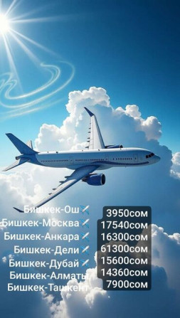 Авия билеттер каалаган багытка, эң арзан баада Бишкек - сүрөт 1