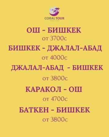 ✈️ Авиабилеты по Кыргызстану! ???? Все направления ???? Доступные цены ???? Бишкек