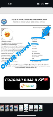 Помощь в оформлении визы в Кыргызстан ???????? Сапар виза ✅ Выездная виза ✅ Бишкек - изображение 2