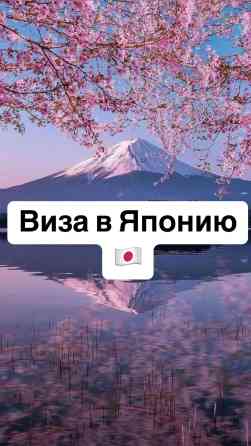 Уже совсем скоро начинается сезон цветения САКУРЫ в Японии ???? Давно Бишкек