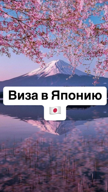 Уже совсем скоро начинается сезон цветения САКУРЫ в Японии ???? Давно Bishkek - photo 1