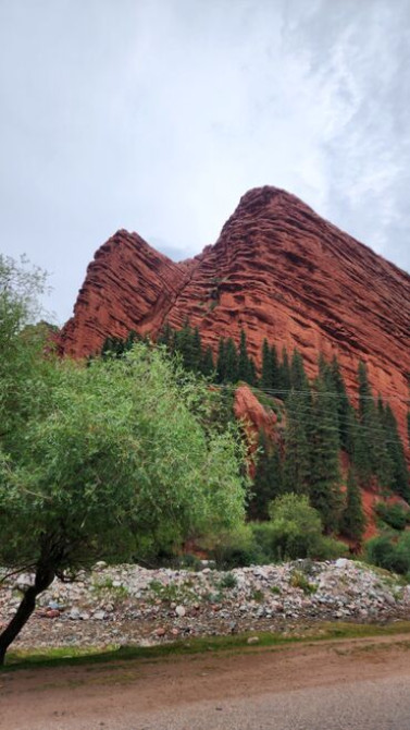 Туристические услуги Bishkek - photo 3