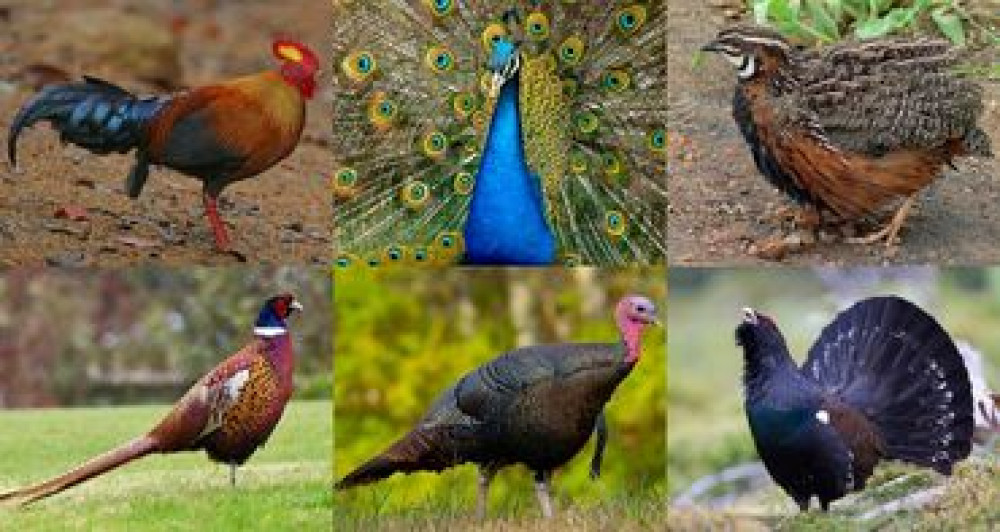 Охота.туры.+++++ охота из лука. Без приченения вреда экологии и Bishkek - photo 1