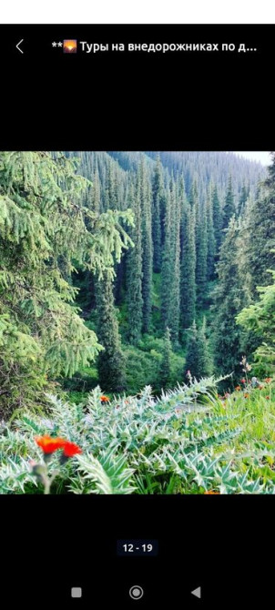 Трансфер-Экскурсии на супер элегантном авто Альфард, Григорьеское Bishkek - photo 5