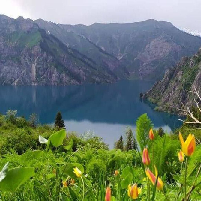 Гостевойт дом 