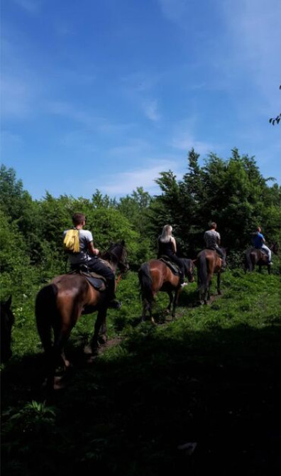 К о н н а я прогулка на иссык-куле????
+ фотосессии ???? Бишкек - изображение 1