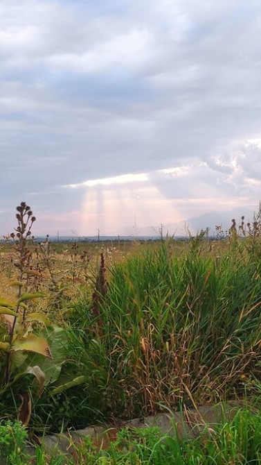 Guide driver translator, tour. Issikkul lake, Karakol, Mountain Bishkek - photo 3