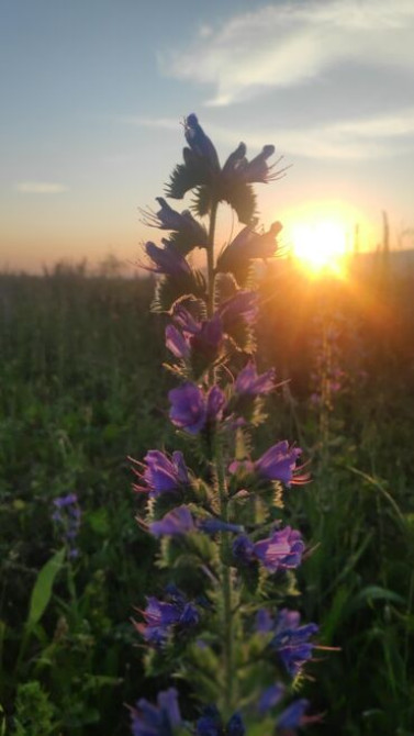 Guide driver translator, tour. Issikkul lake, Karakol, Mountain Bishkek - photo 6