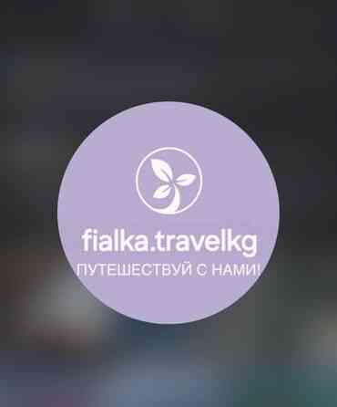 Туристическое агентство fialka.travelkg . Занимается продажей авиа Бишкек
