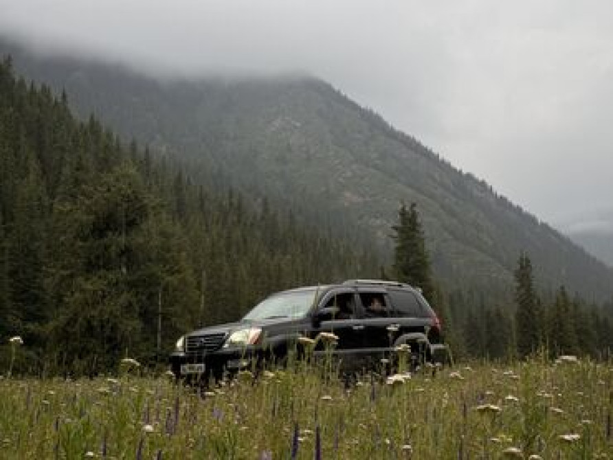 Фотосъёмка, Видеосъемка | Студия, С выездом | Съемки мероприятий, Love story, Видео портреты Бишкек - сүрөт 1